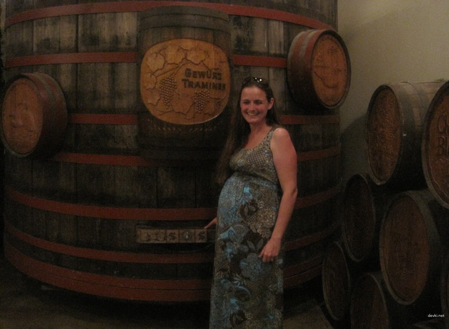 Hot Pregnant Wife Amateur Sex Photos - Explicit Pregnant Sex Pics