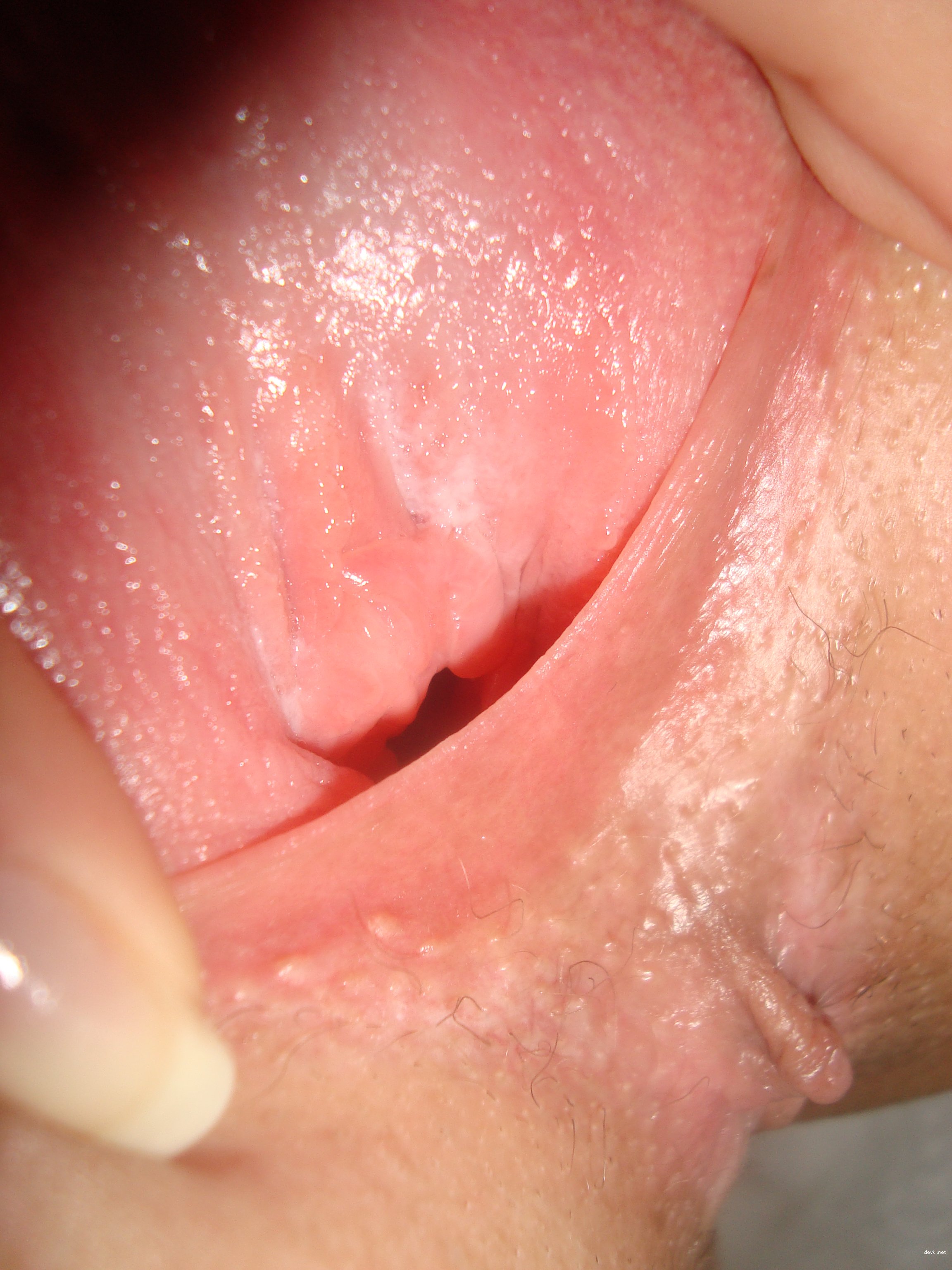 Hot Young Wife Amateur Porn Pics: Explicit XXX Photos