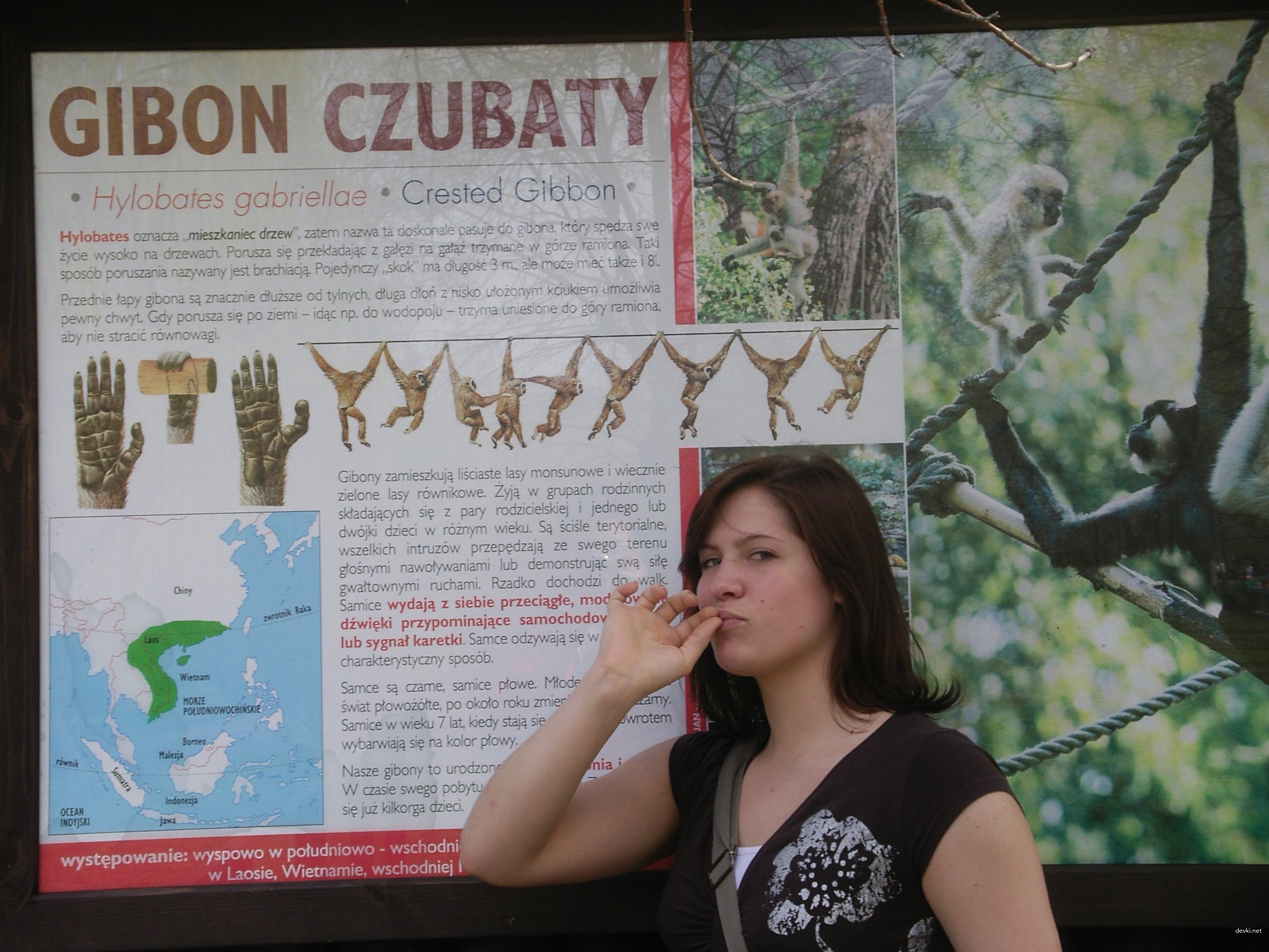 Raw Amateur Wife Sex Photos - Hot and Uncensored XXX Pics