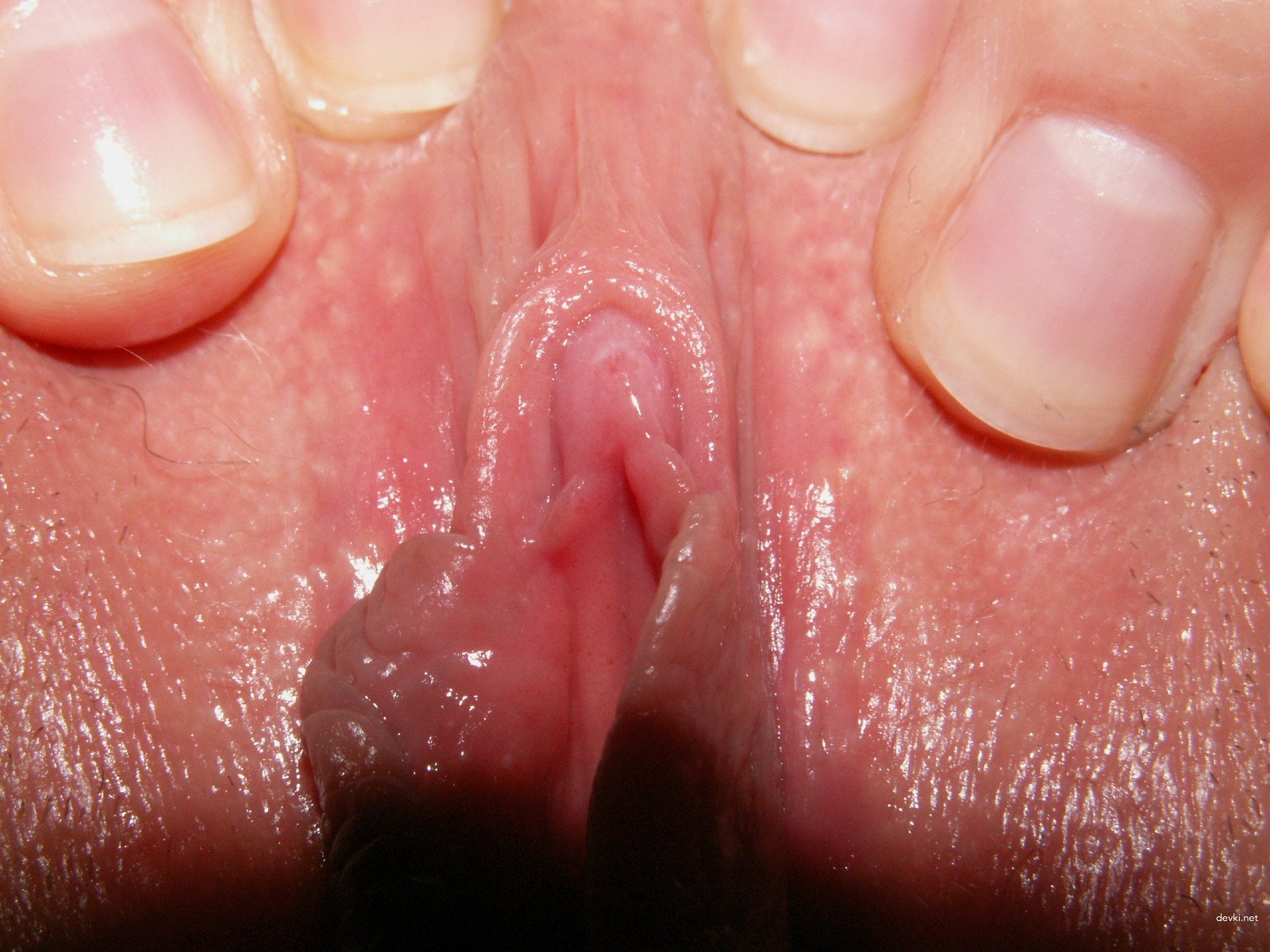 Hot Blonde Bounces on Cock: Amateur Porn Pic