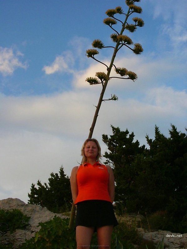 Amateur Husband Fucks Wife's Pussy - Explicit Homemade Porn