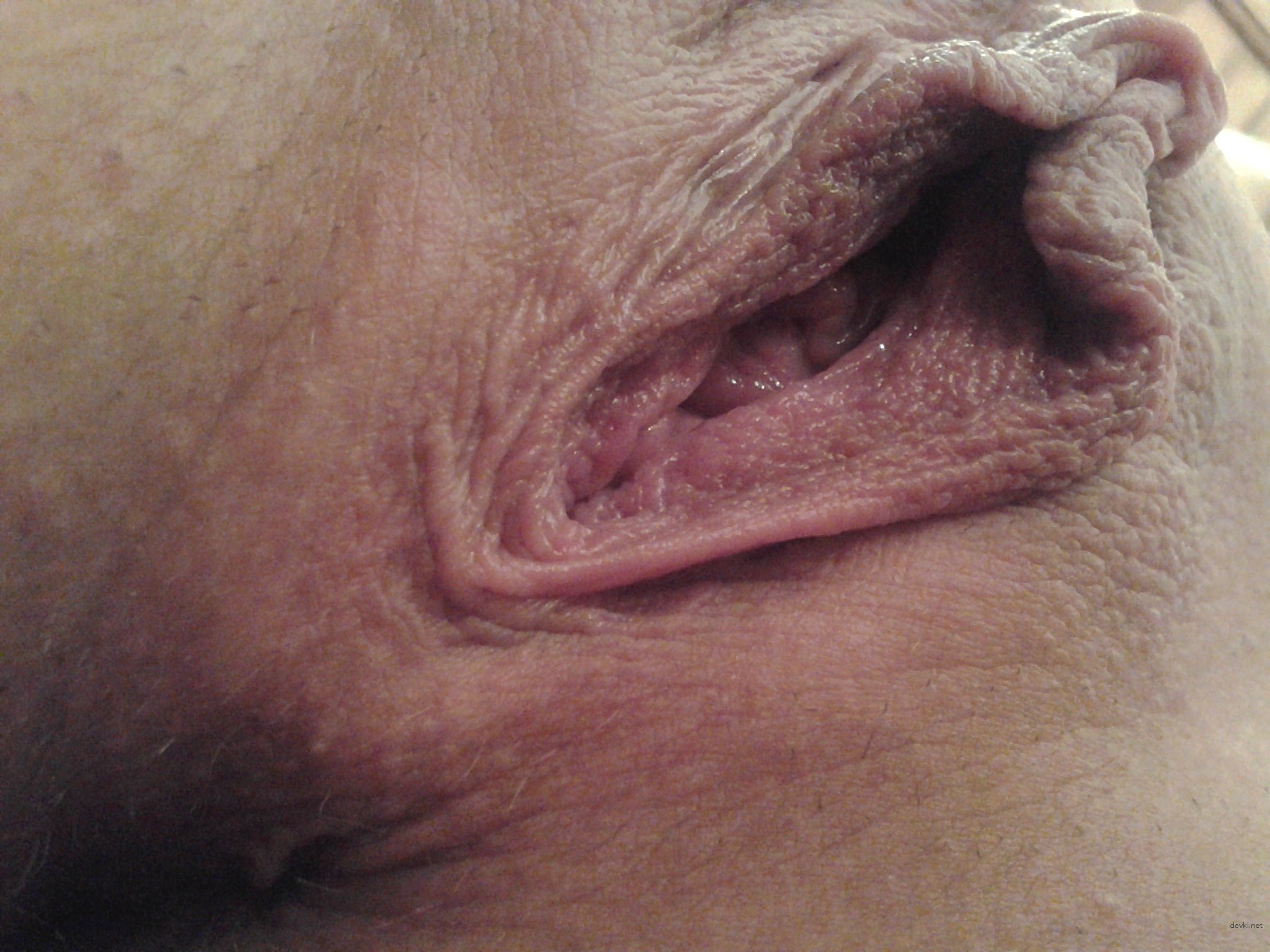 Close-Up Pussy of College Student in Amateur Porn Photo