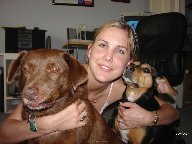 Amateur Honeymoon Porn Report: Explicit Newlywed Sex Pics