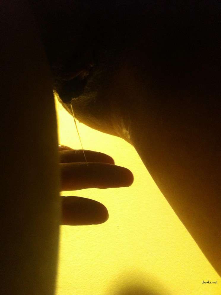 Explicit Close-Up Photos of Young Girls' Wet Pussies