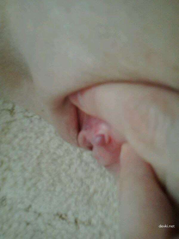 Raw Homemade Porn Pics: Explicit Amateurs in XXX Action