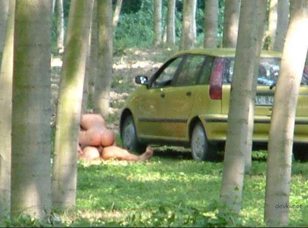 Amateur Porn Photo Compilation Part 17: Explicit Private Erotic Pics