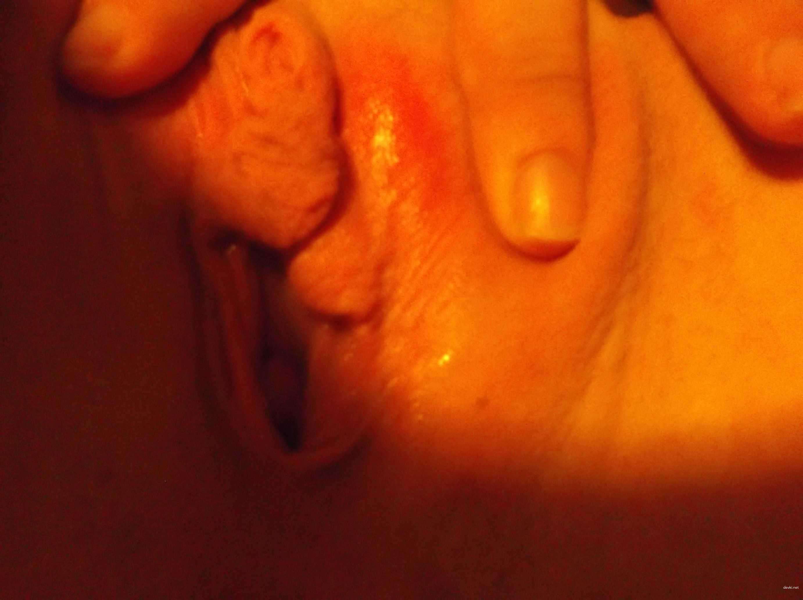 Wild Amateur Girl Sex Shenanigans - Explicit Porn Photos