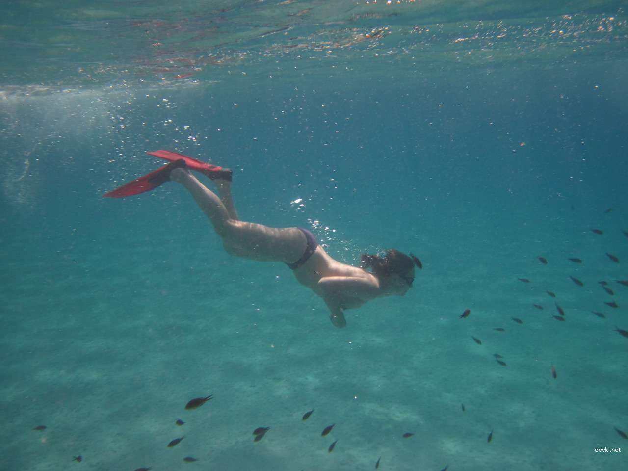 Seductive Amateur Girl on Vacation (Part 2): Revealing Beach Photos