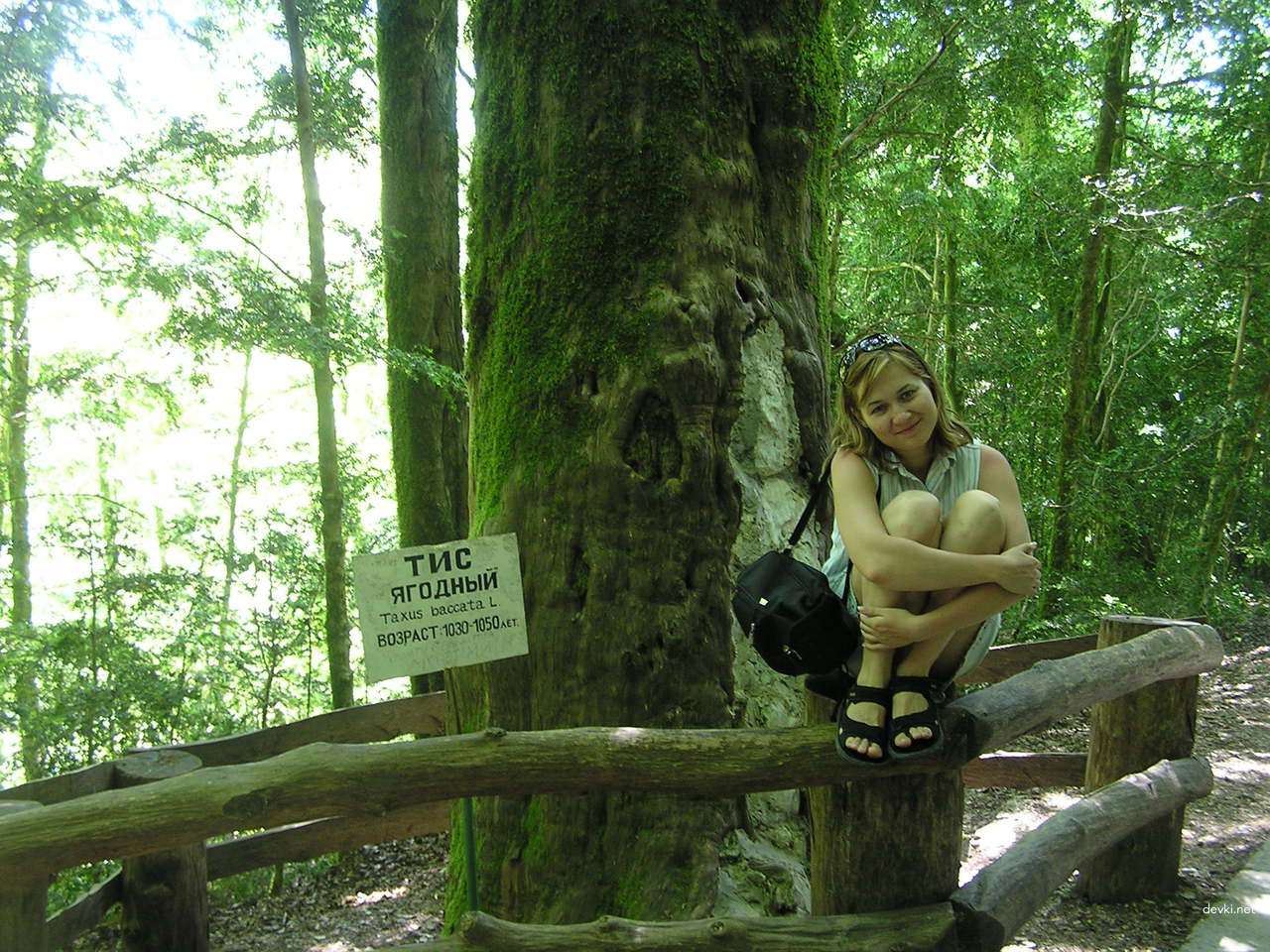 Seductive Amateur Girl on Vacation (Part 2): Revealing Beach Photos