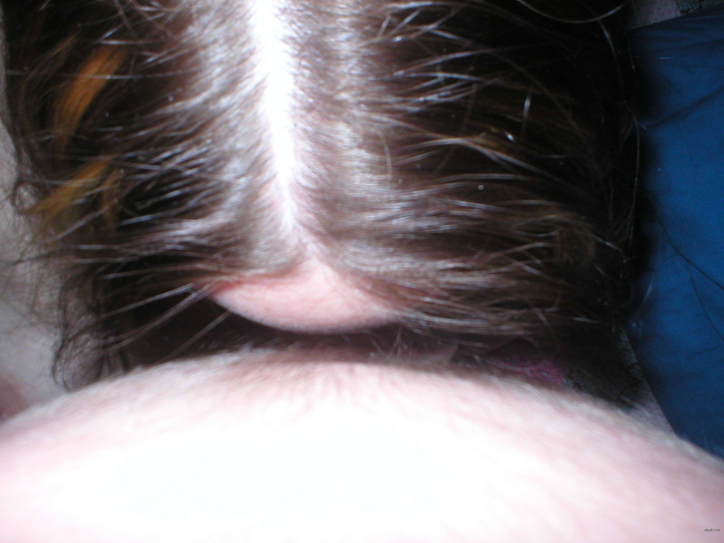 Hot Amateur Girl Sucks Cock: Explicit Blowjob Photo