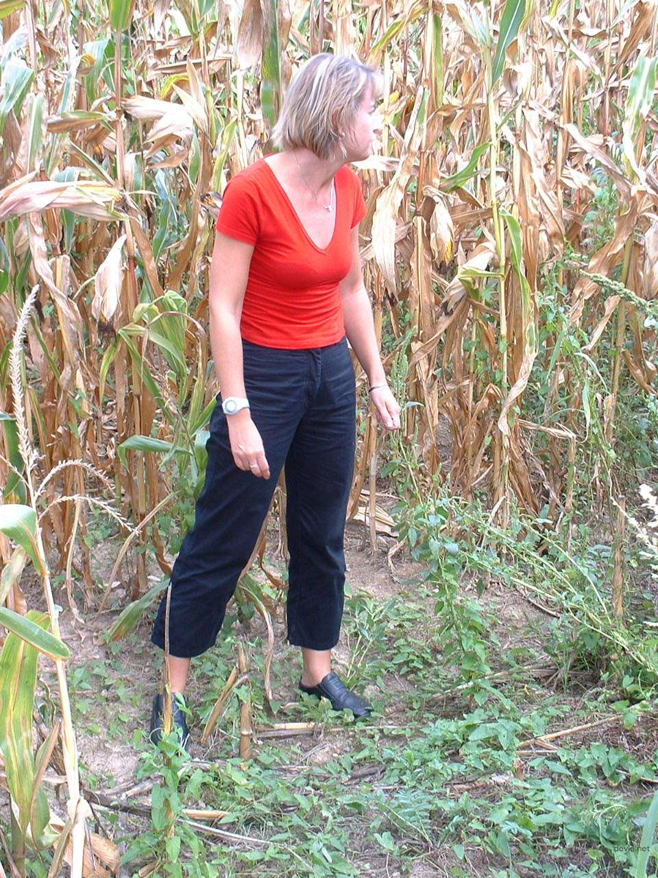 Swingers Vacation Part 2: Explicit Amateur Porn Photos