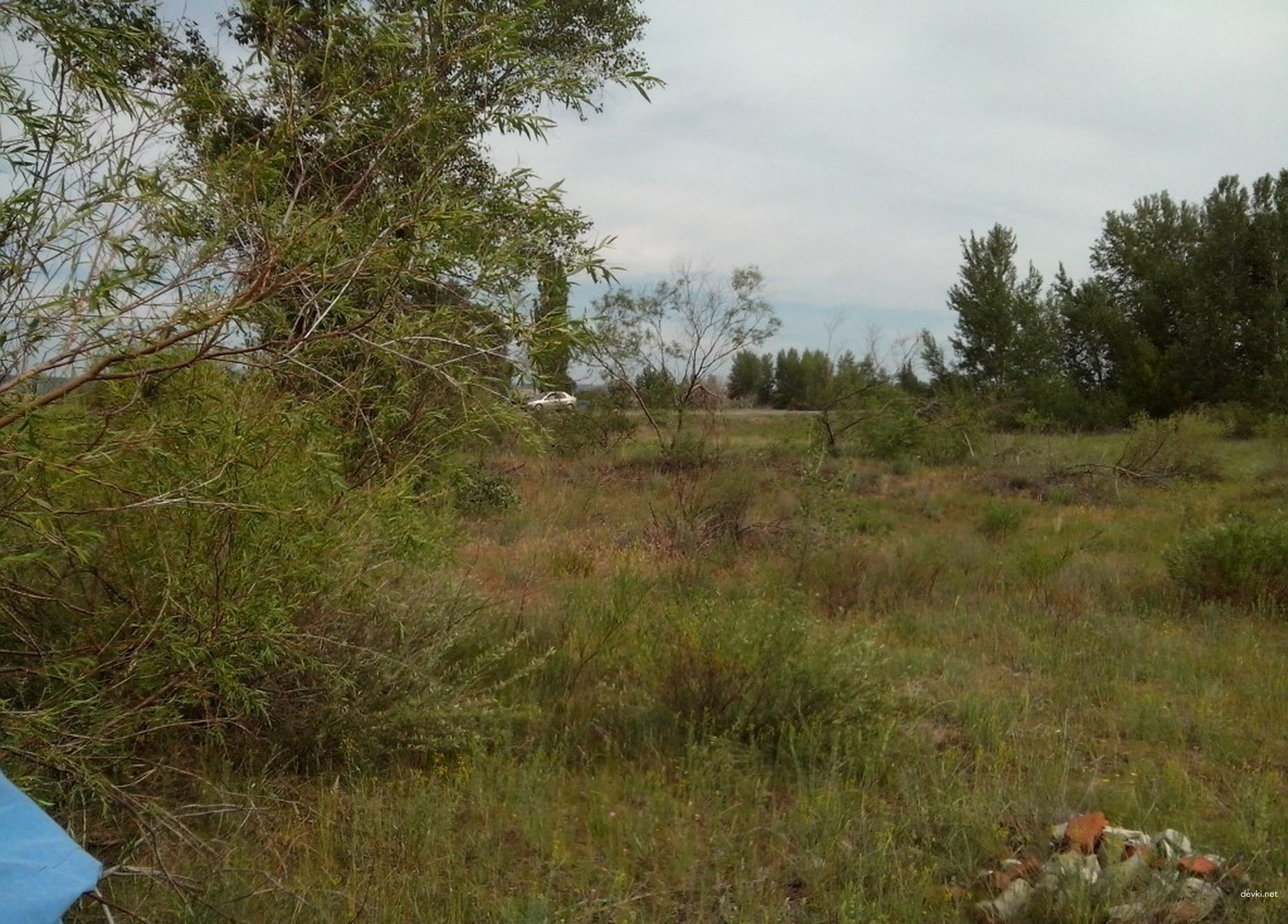 Family Porn Archive: Explicit Amateur Sex Photos