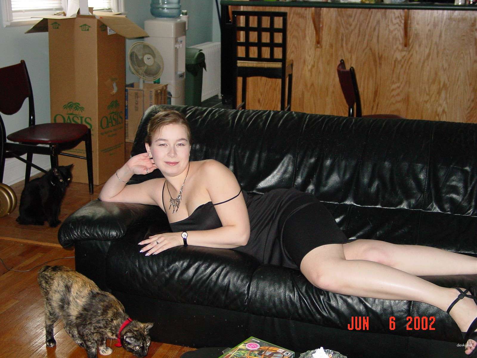 Curvy Lady Gets Fucked - Amateur BBW Porn Photo