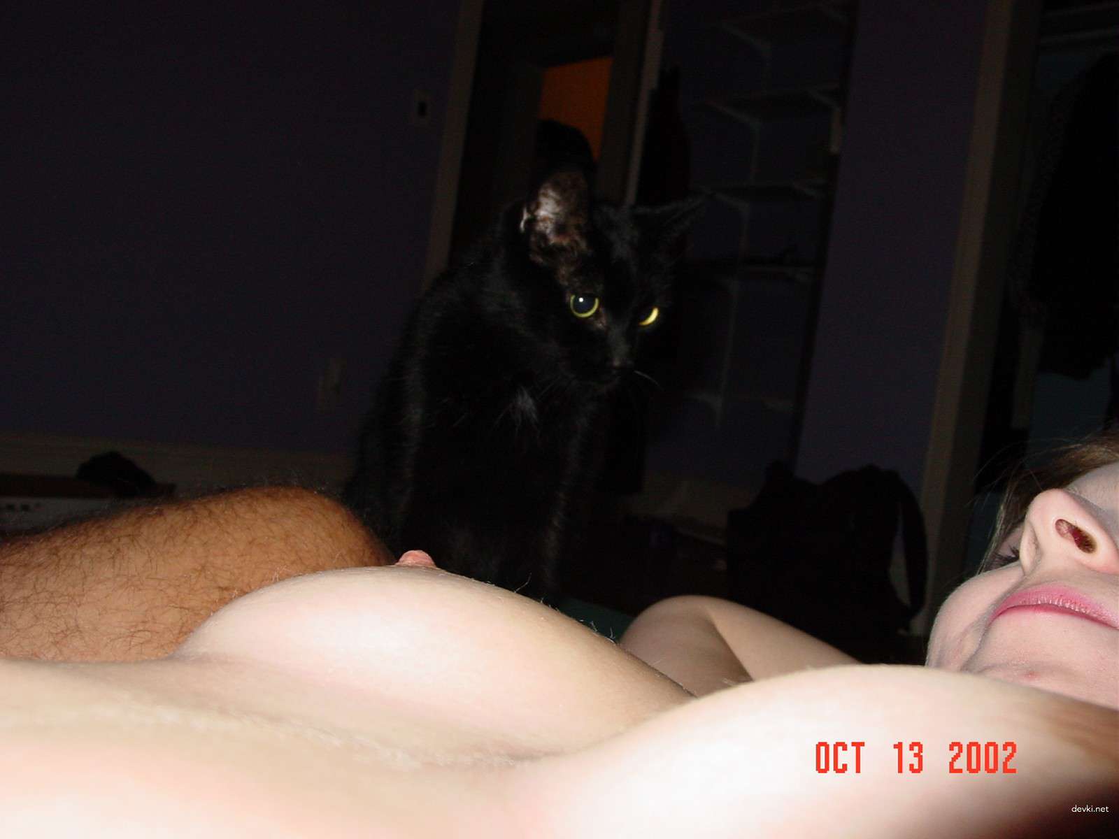 Curvy Lady Gets Fucked - Amateur BBW Porn Photo