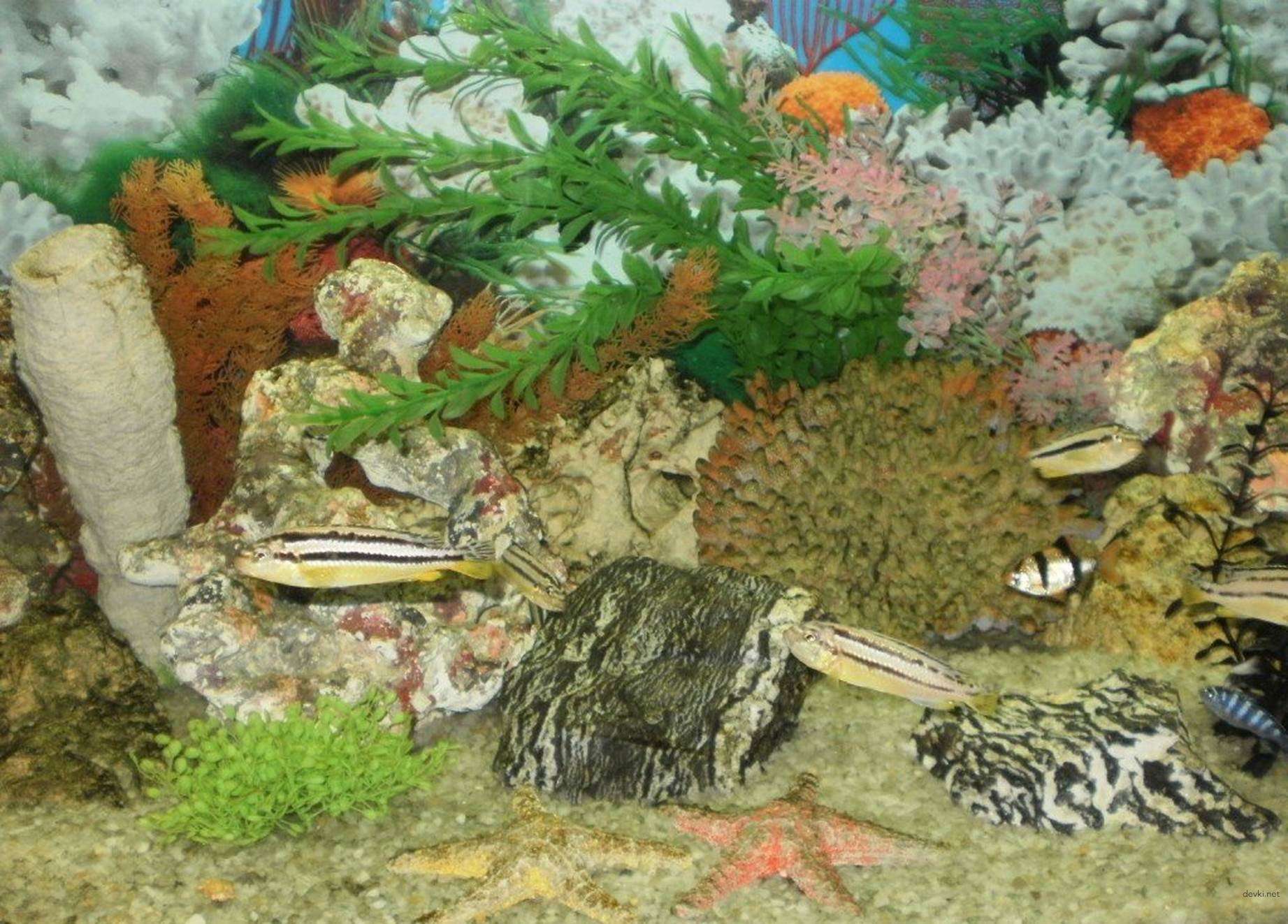 Mature Pussy Amateur Porn Pics: Explicit MILF XXX Photos