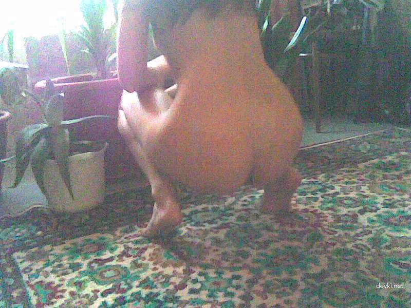 Leaked Amateur Slut's Hole-Ridden Porn Pics - XXX Explicit Content