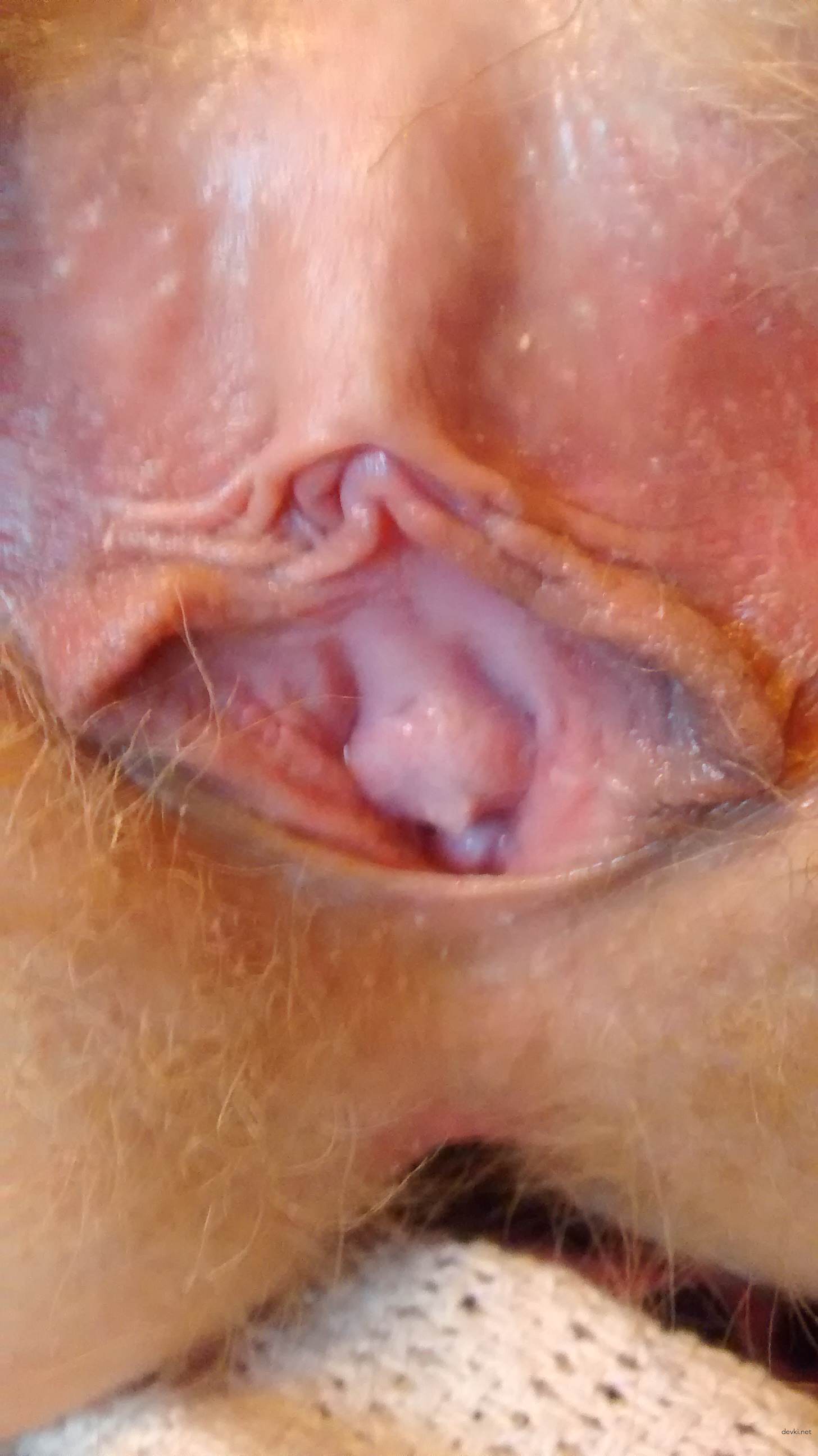 Hairy Pussy Girl Sucks Cock - Explicit Amateur Blowjob Photo