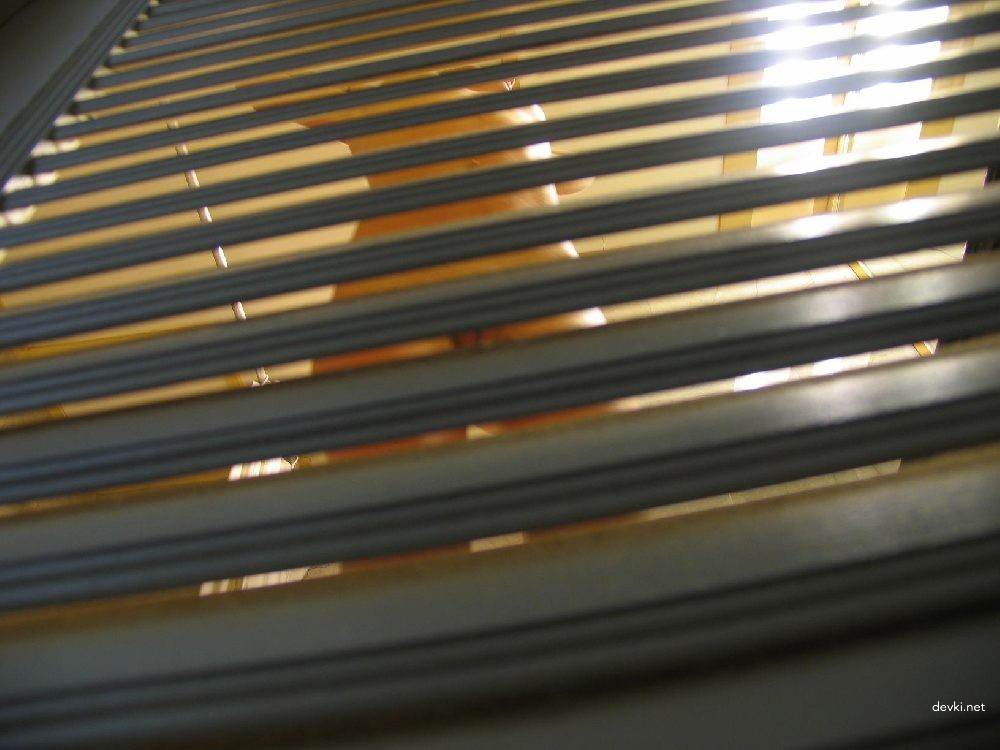 Explicit Blonde Amateur Porn Photos from Behind - Naked Blonde Girl Pics