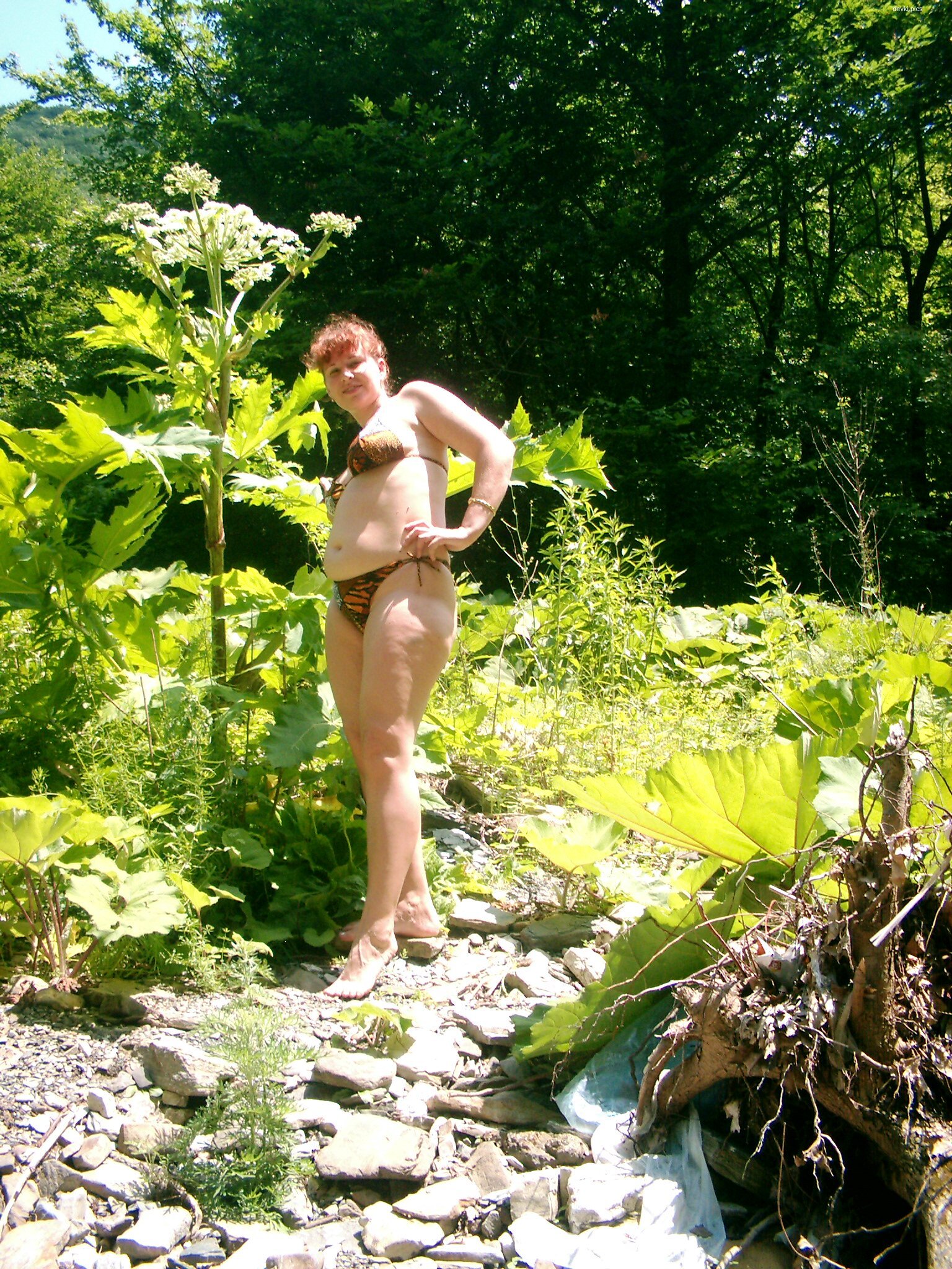 Wild Forest River Walk: Amateur Photo with Explicit Nudity