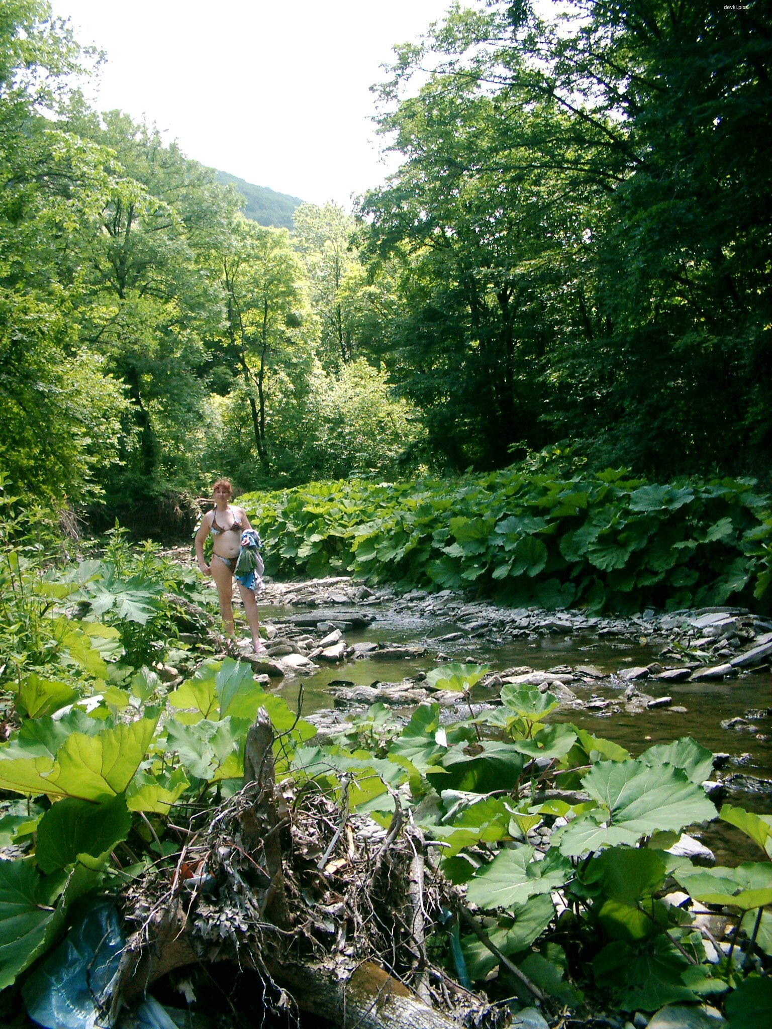 Wild Forest River Walk: Amateur Photo with Explicit Nudity