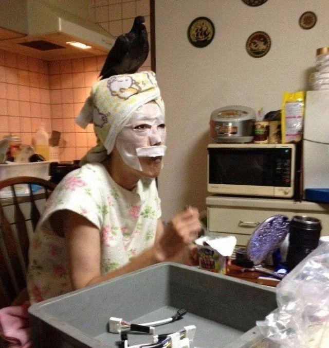 Wild and Crazy Girls Going All Out: 41 Explicit Photos of Fun and Madness