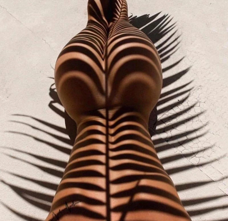 Hot Babes with Seductive Curves to Satisfy Every Taste