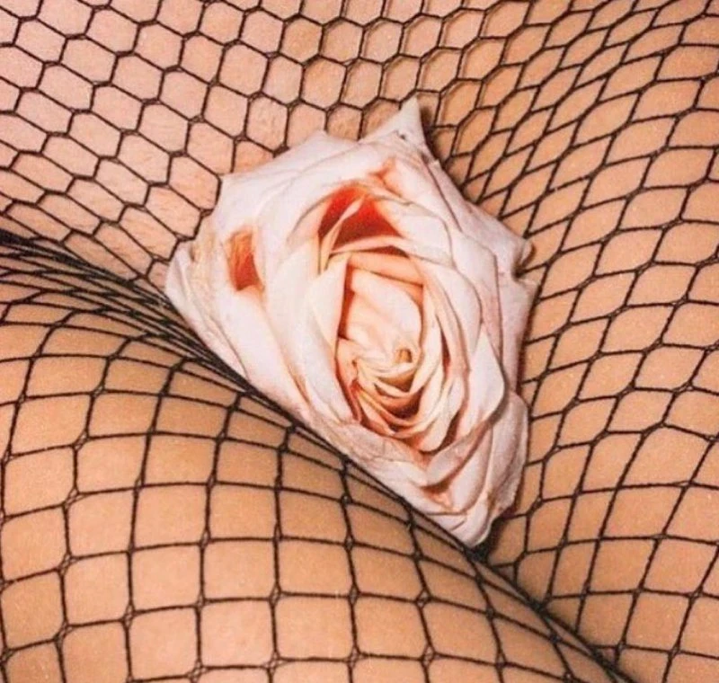 Sexy Babes in Seductive Lingerie: Hot Girls in Provocative Underwear