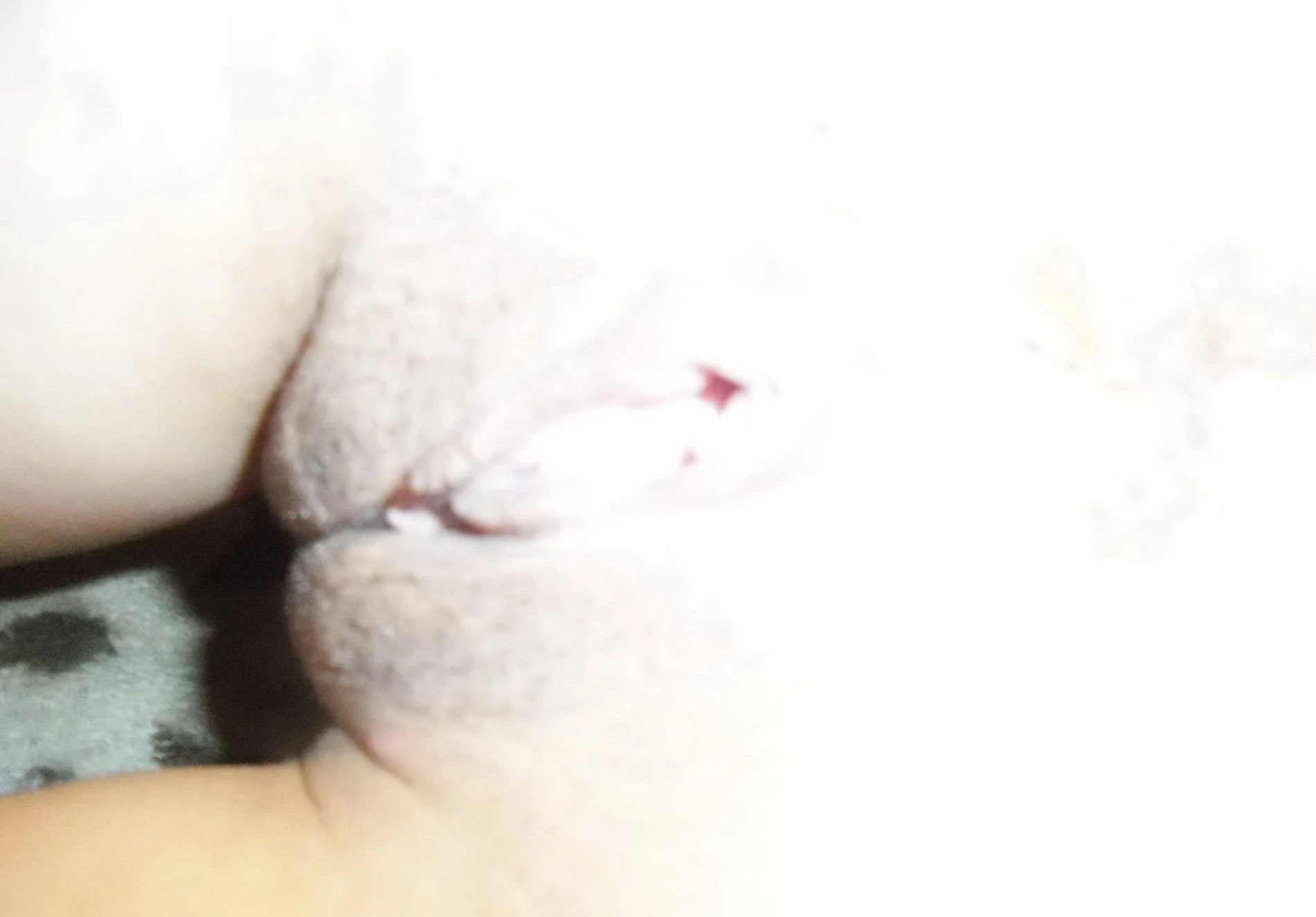 Amateur Girl Strips Pantyhose and Panties for Boyfriend - Explicit Homemade Porn