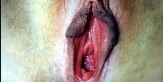 Amateur Home Porn Fun #2: Explicit Homemade XXX Photos