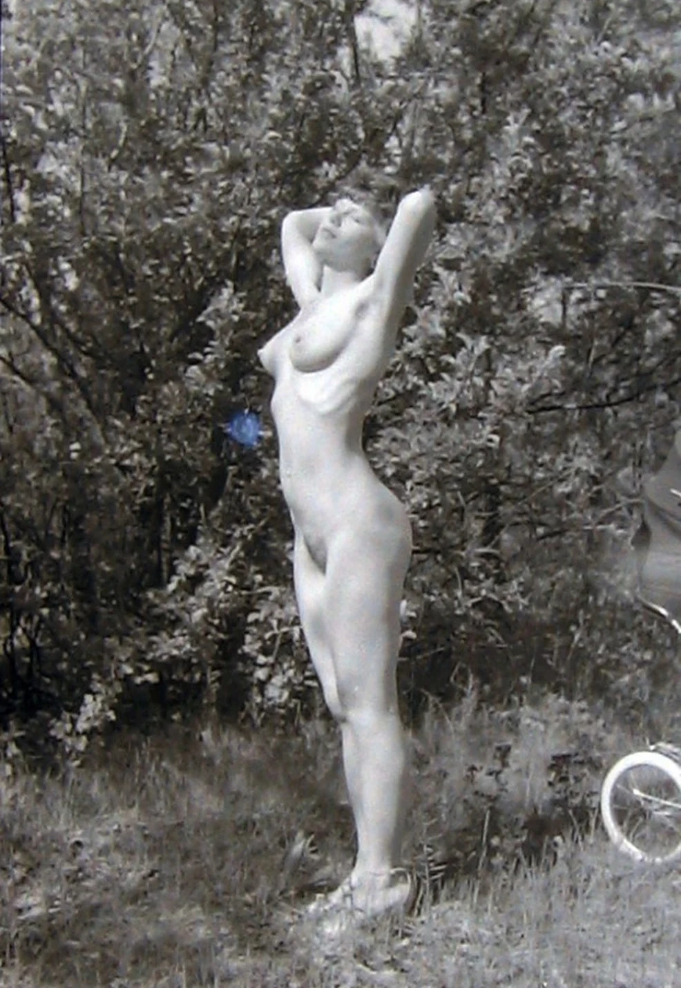 Experienced Amateur MILF Stuns in Explicit Porn Photos