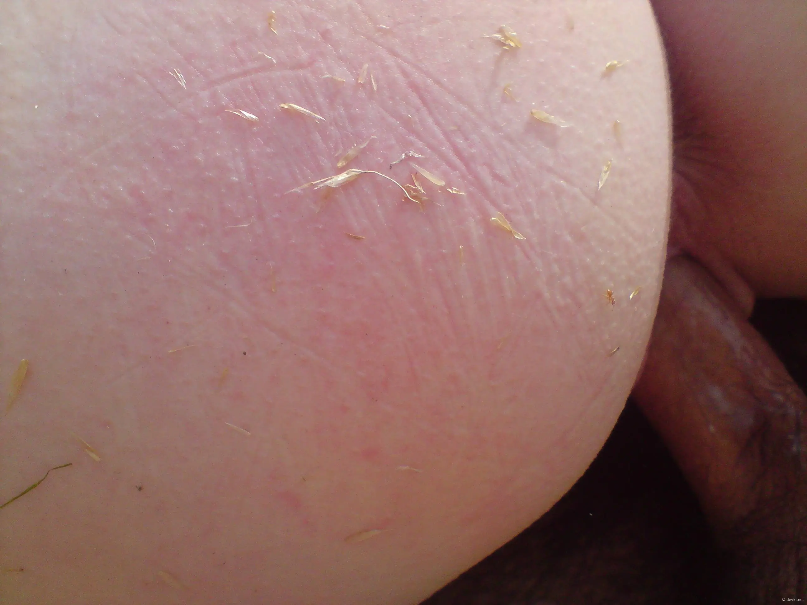 Explicit Amateur Porn: Sex Desires Game with Hot Photos