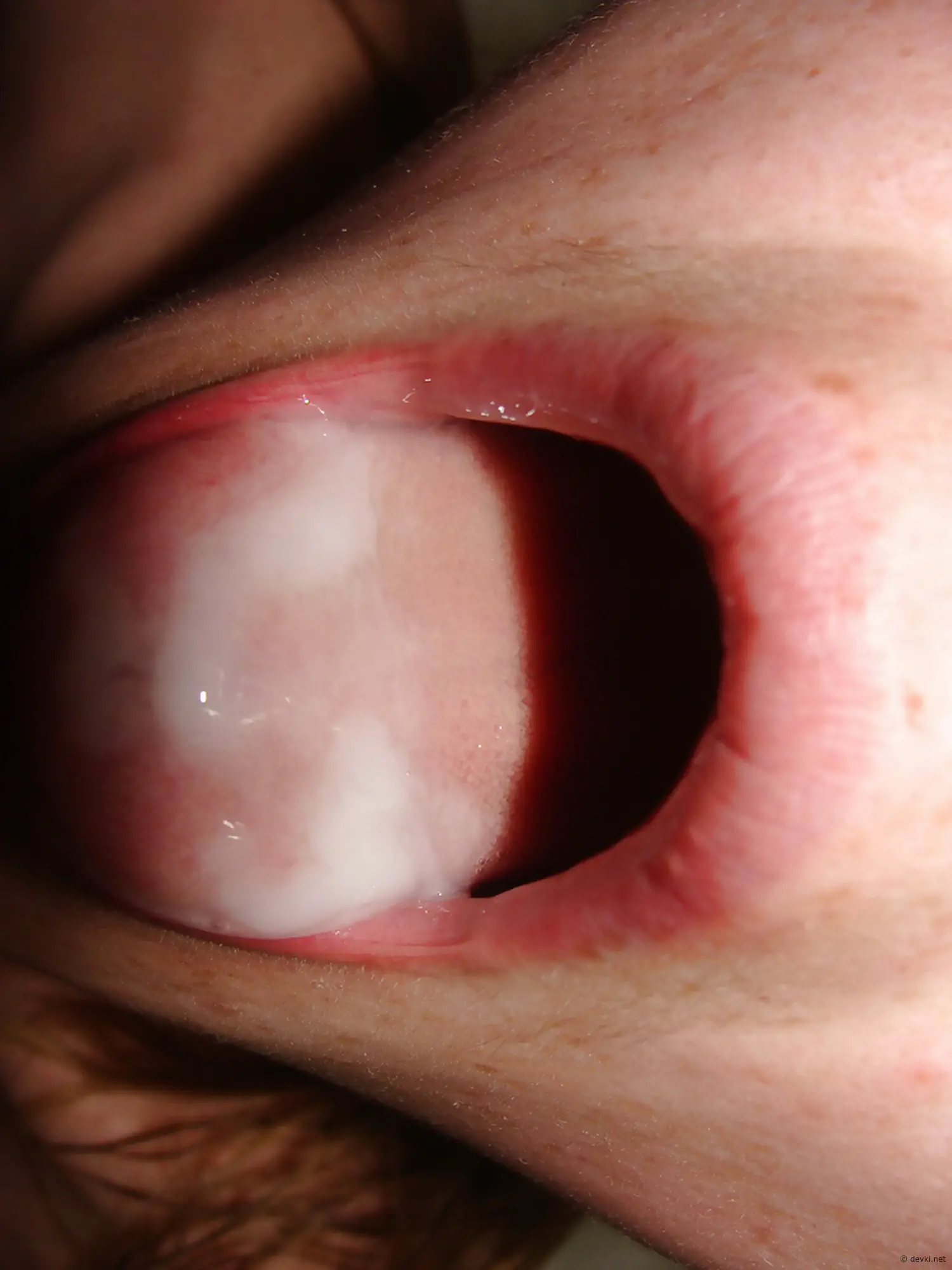 Intense Close-Up Amateur Sex Photos: XXX Explicit Shots