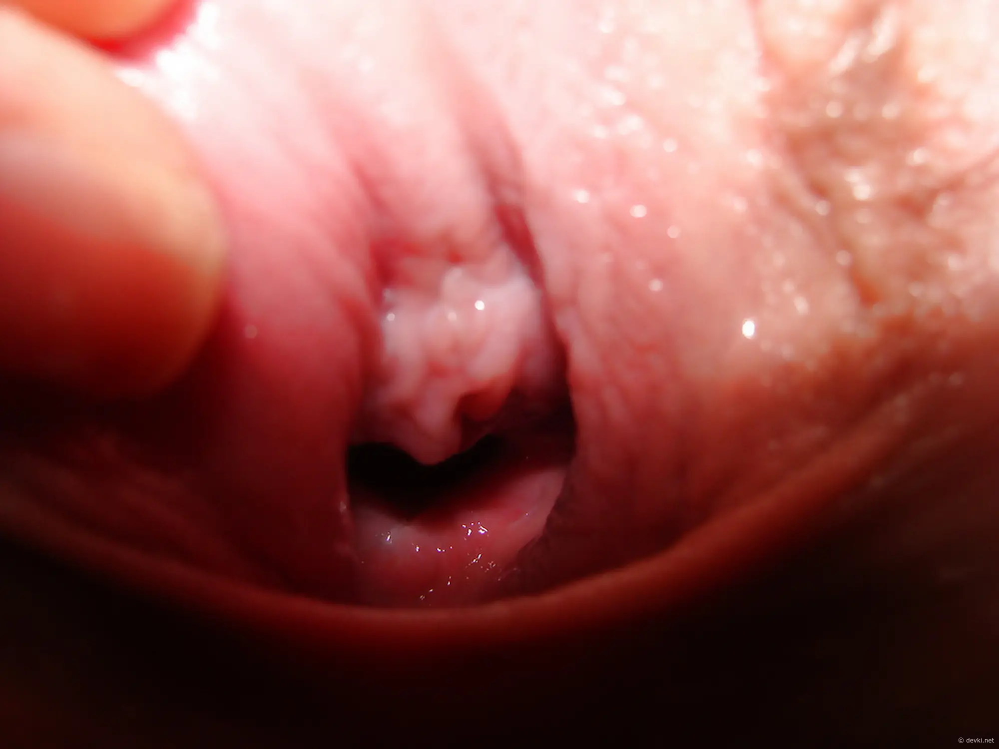 Intense Close-Up Amateur Sex Photos: XXX Explicit Shots