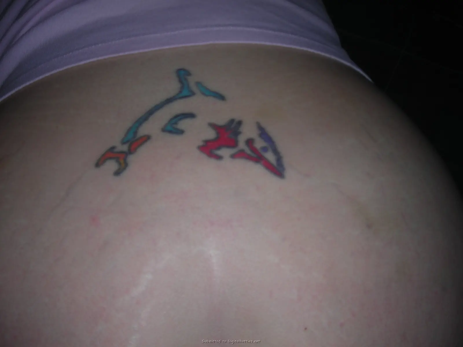 Amateur Babe Enthusiastically Gives Blowjob to Lucky Guy