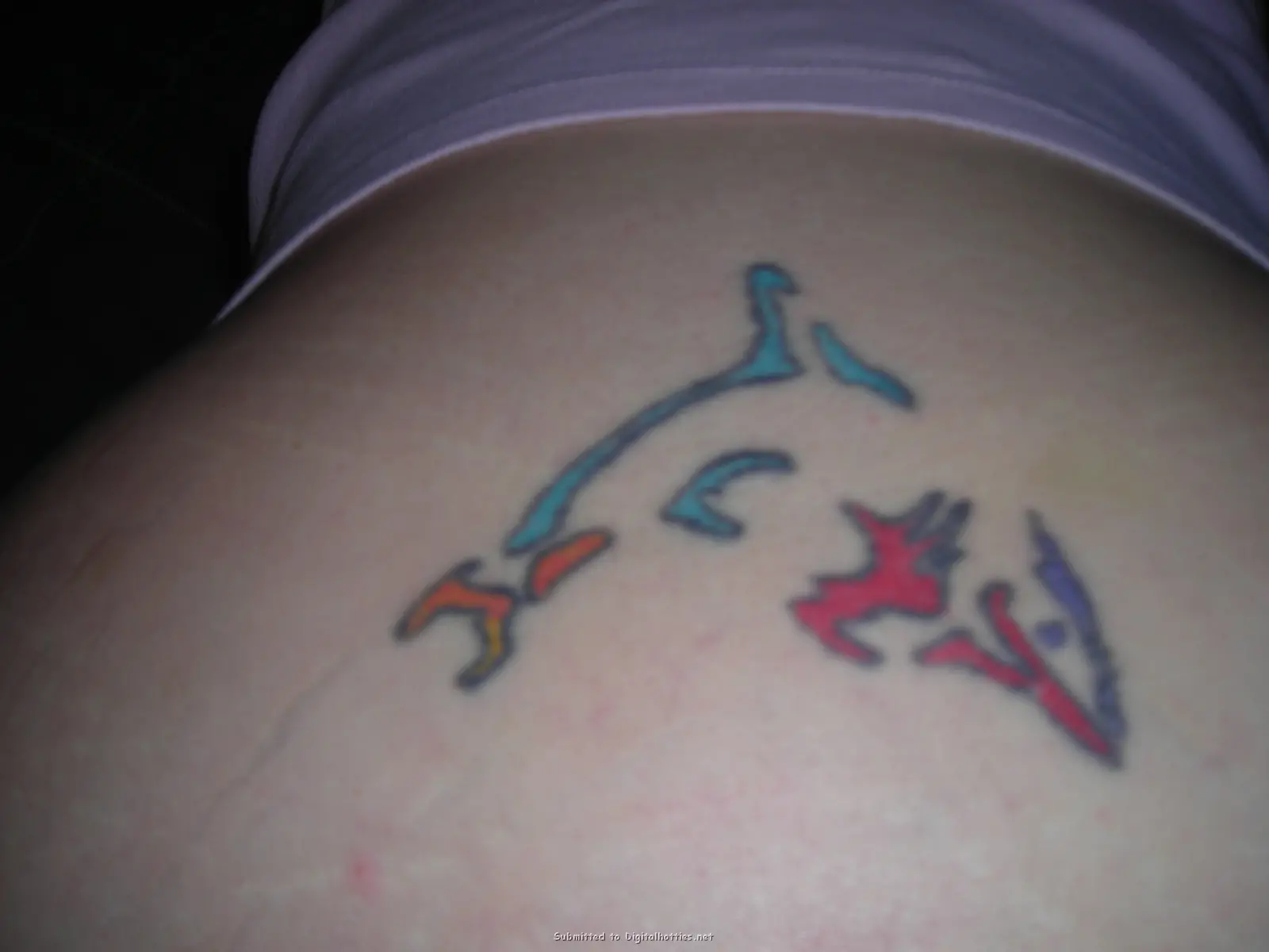 Amateur Babe Enthusiastically Gives Blowjob to Lucky Guy