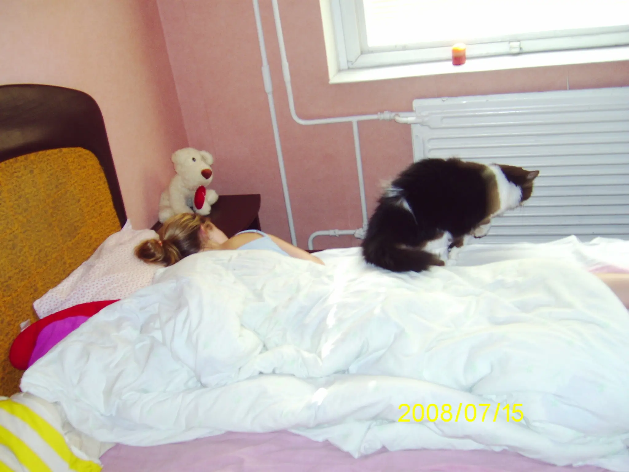 Hot and Horny Amateur Girl Takes Hard Cock in Wet Pussy