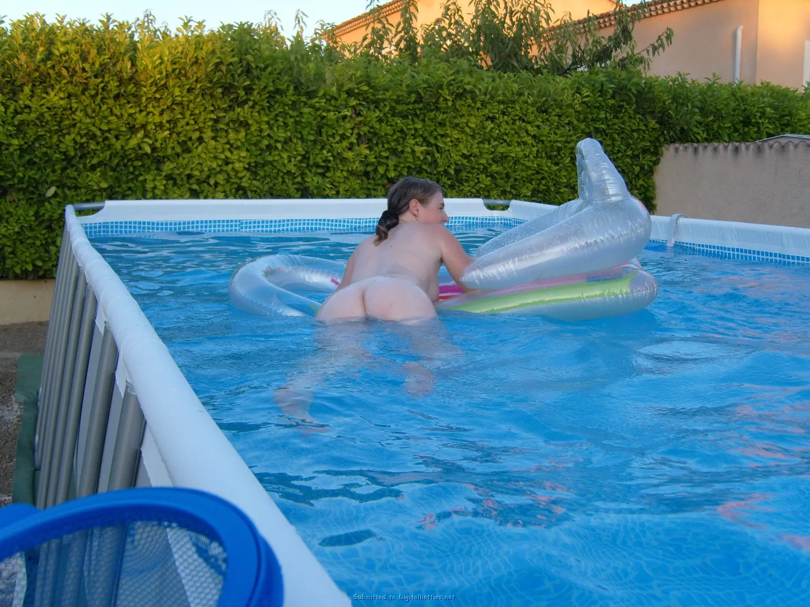 Shaved Cock Fucks Wife's Pussy and Ass - Amateur Porn Photo