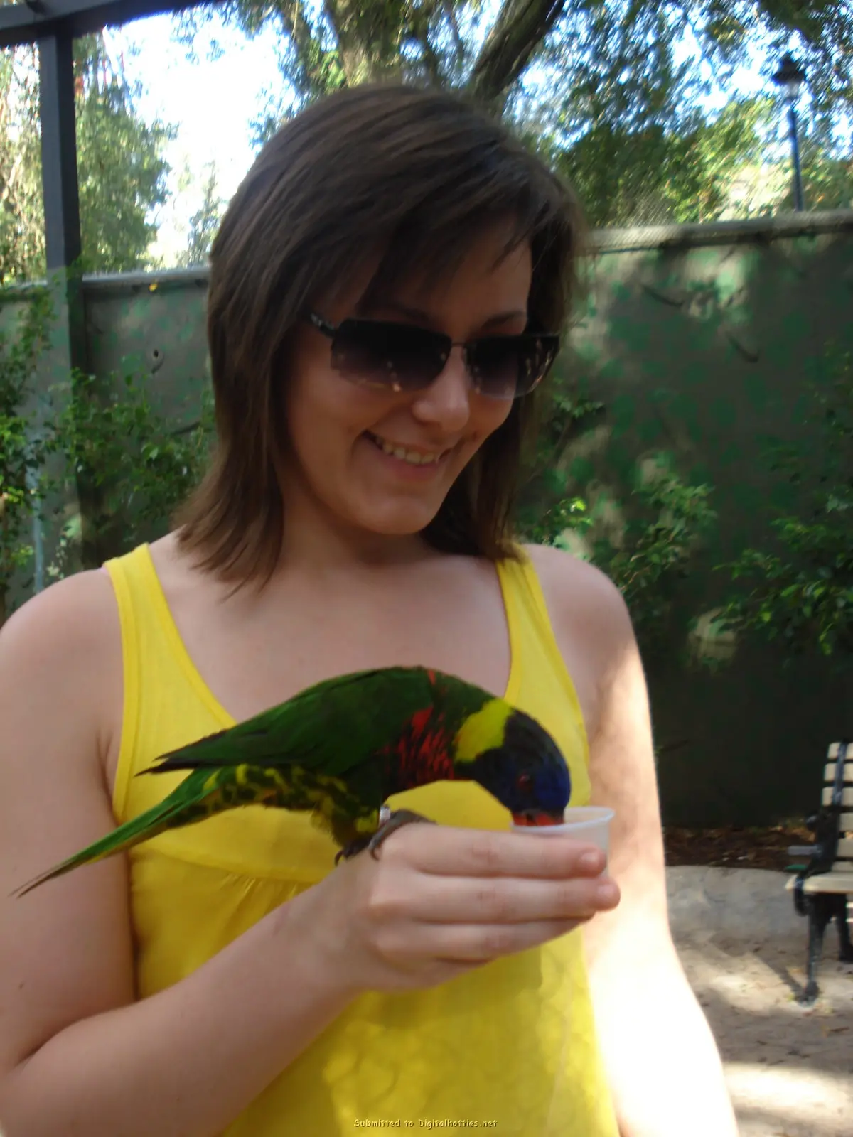 Guy Fucks Two Girls: Explicit Amateur Threesome Porn Photo