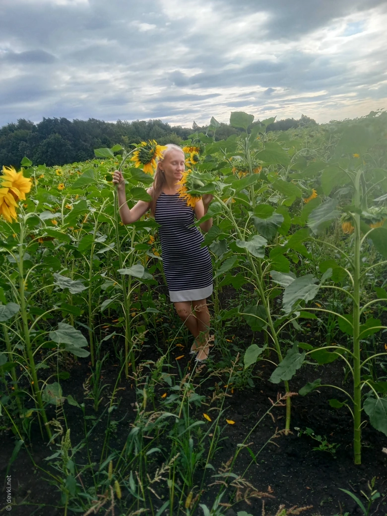 Topless Babe in Sunflower Field: Explicit Amateur Boobs Photoshoot